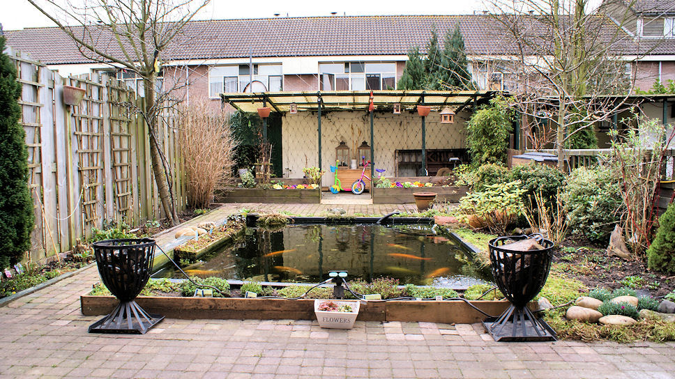 26 maart, wat is het nog kaal in de tuin