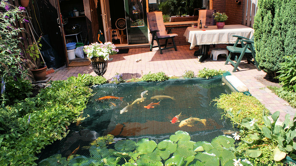 Dit gaat de goede kant op met de kleuren in de tuin