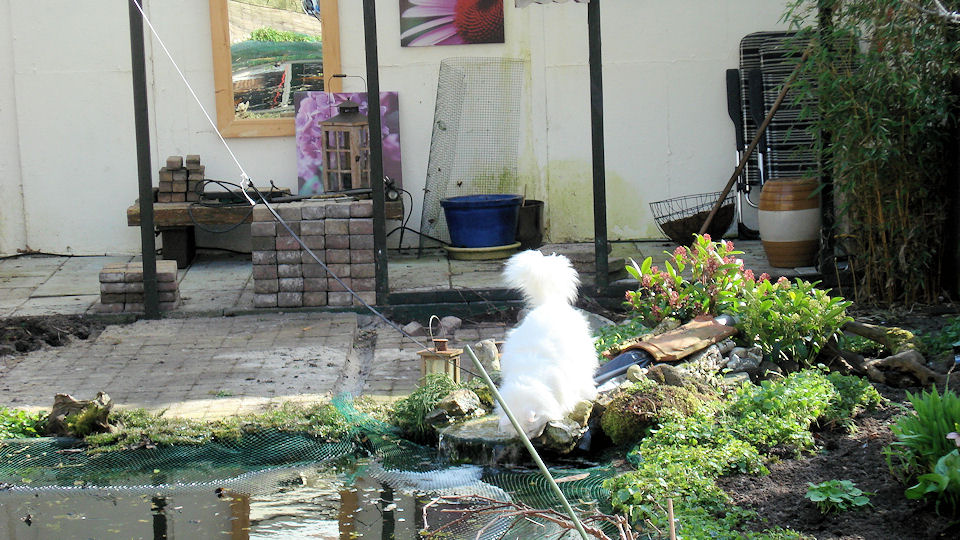 Kleine aanpassing van de tuin