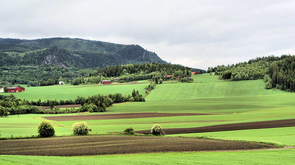 E6  FV 40 Steinvikholm