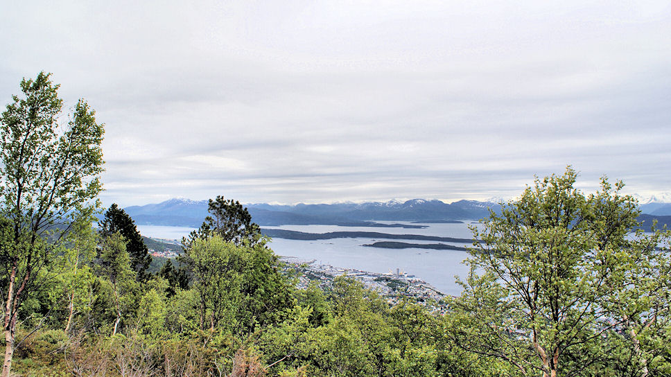 Molde , Varden