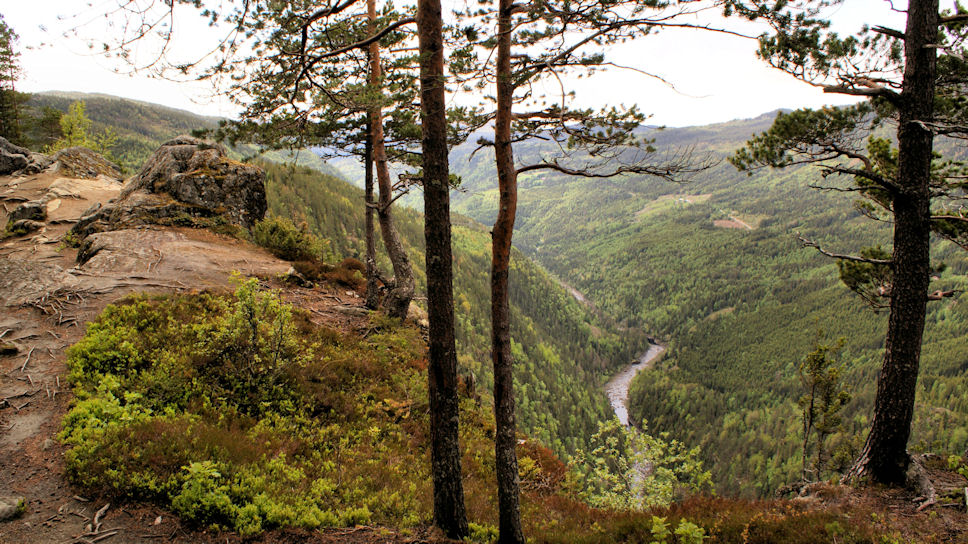 Ravnejuv&nbsp;(Tokke rivier)