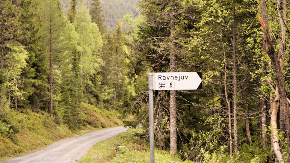 Ravnejuvvegen  Fv805,