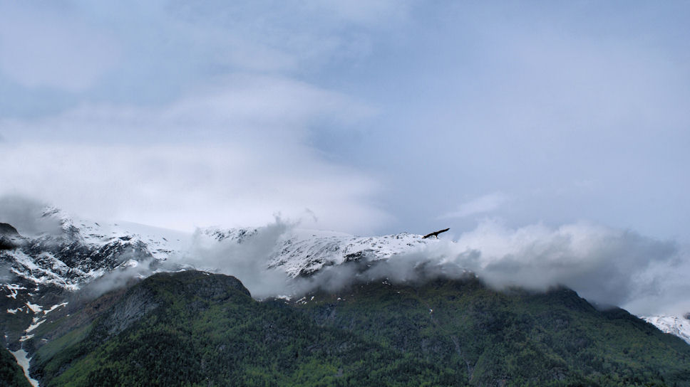Hardangerfjord   RV13
