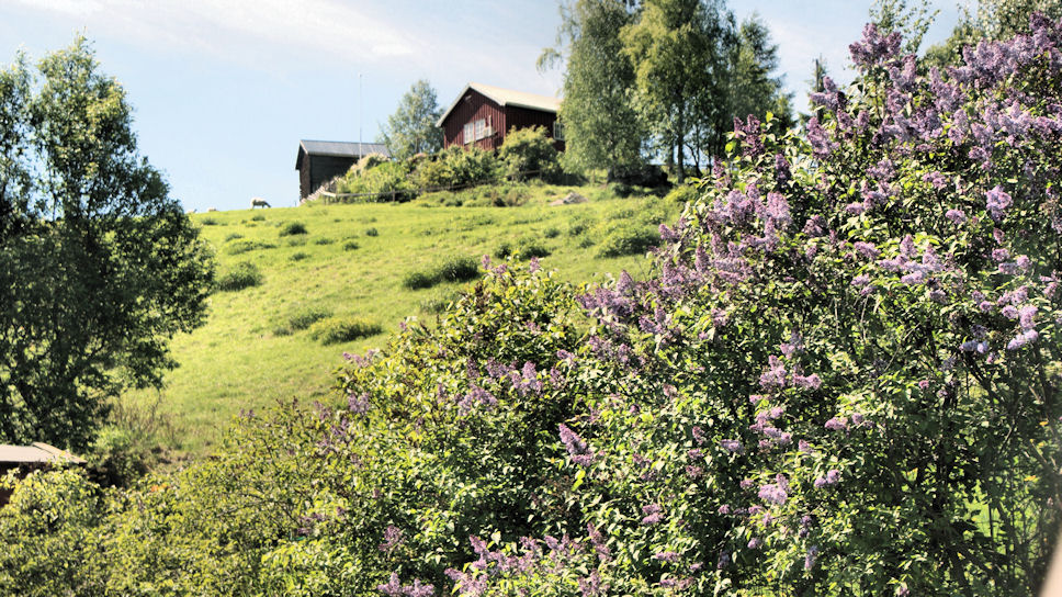 Rv254  Musdalen