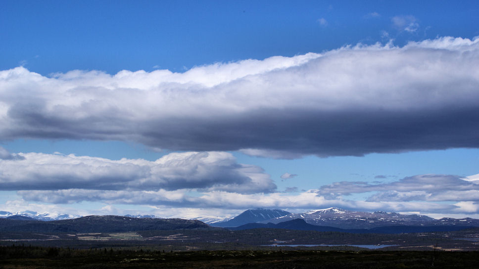 Op de achter grond zie je de witte toppen van de Jotunheimen